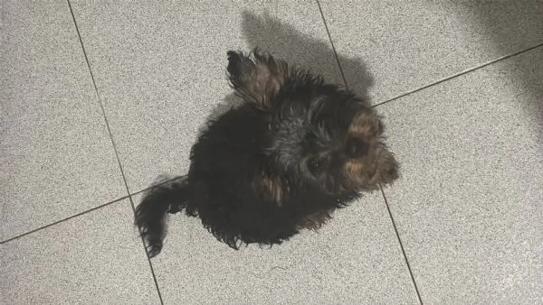 Aurora Migliore Marcella | Foto 3