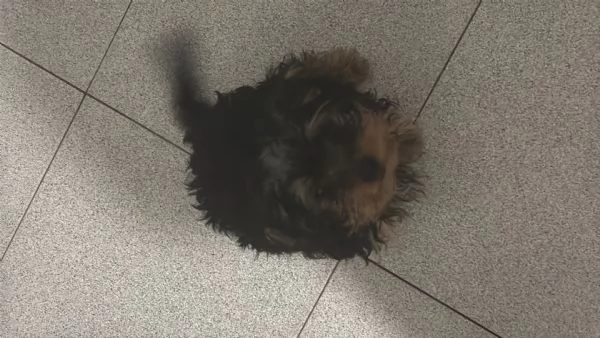 Aurora Migliore Marcella | Foto 2