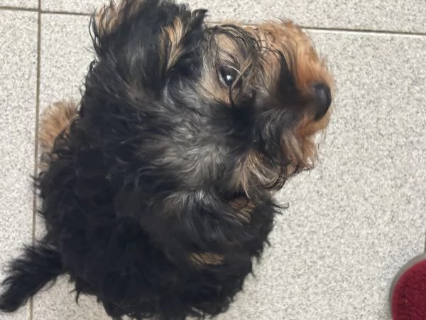 Aurora Migliore Marcella | Foto 1