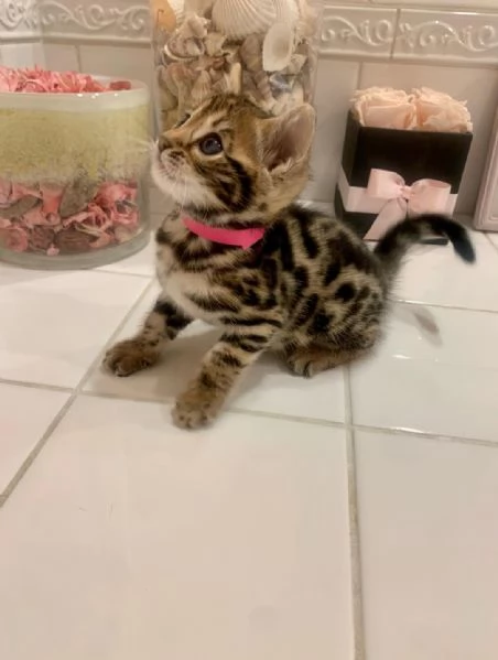 Micetti Rossi TrovaCasa  Torino