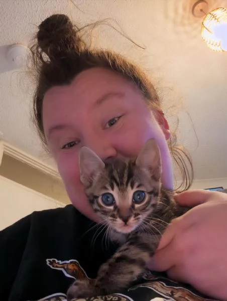 Rari cuccioli di Bengala in adozione  Disponibilitagrave limitata | Foto 3