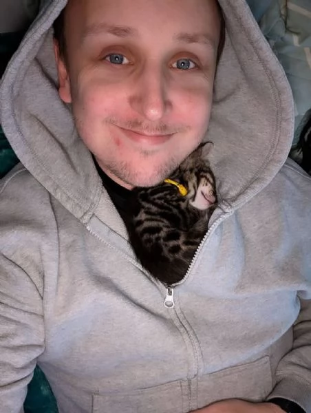 Rari cuccioli di Bengala in adozione  Disponibilitagrave limitata | Foto 1