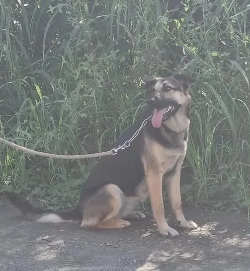 Taina