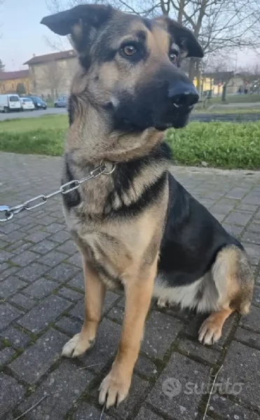 Taina | Foto 2