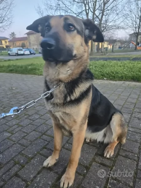 Taina | Foto 1