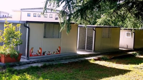 Pensione per cani e gatti  | Foto 1