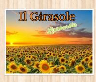 Allevamento Il Girasole Lombardia