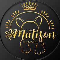 Matison Kennel Dog