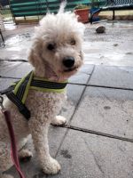 Valeria