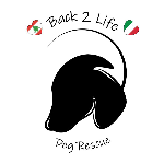 Back To Life Dog Rescue Odv