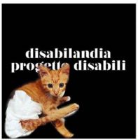 Balzoo Disabilndia