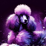 Luca 