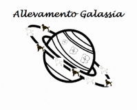 Allevamento Galassia