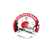 Allev. Akita  Turrisoctavakennel