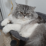 Tatiana 