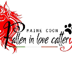 Fallen In Love Cattery 