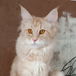 Luca