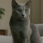Federico 