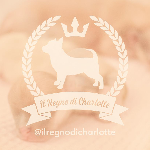 Il Regno Di Charlotte 