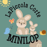 La Piccola Corte Dei Minilop