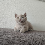 Barbara