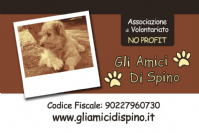 Associazione Gli Amici Di Spino Onlus