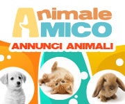 Annunci Animali AnimaleAmico.com